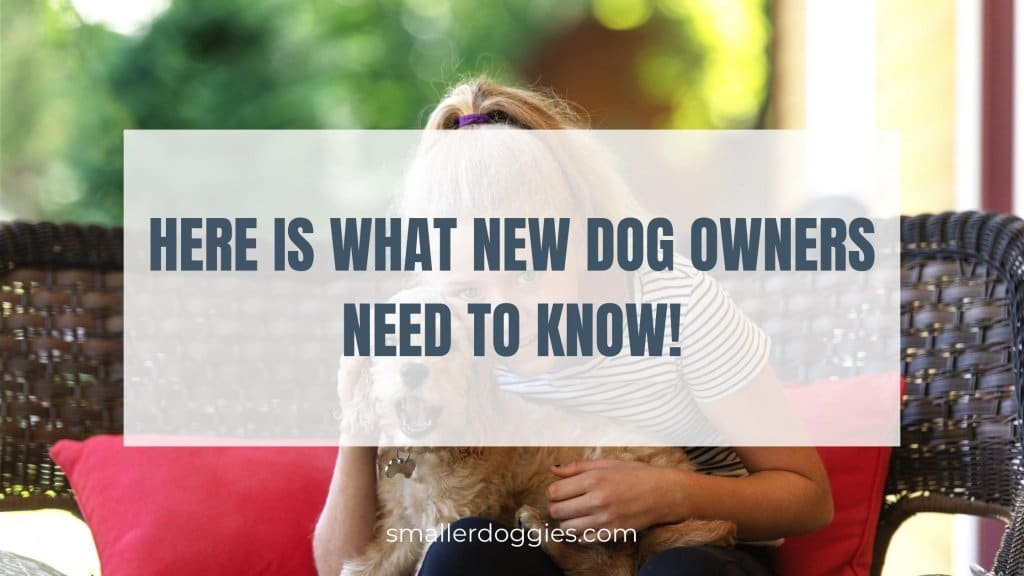 Here is what new dog owners need to know!