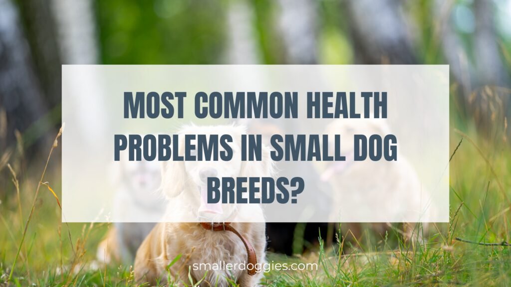 most common health problems in small dog breeds