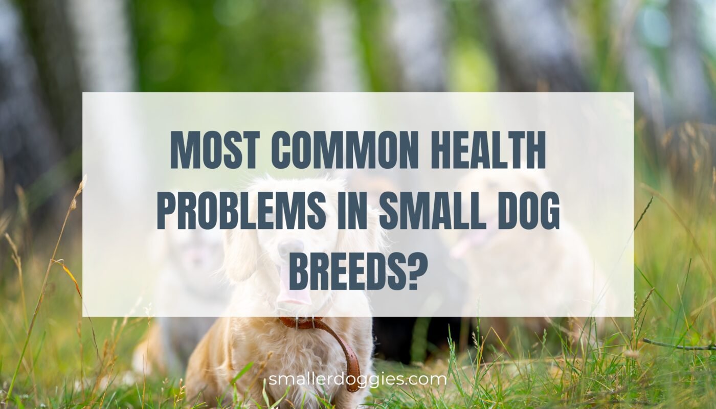 most common health problems in small dog breeds