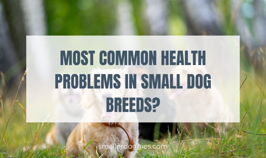 What are the most common health problems in small dog breeds?