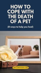 How to Cope with the Death of a Pet