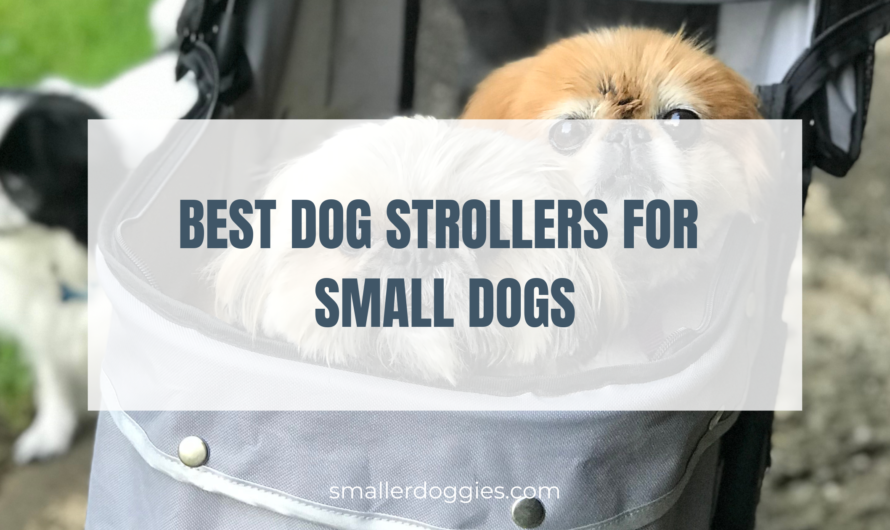 Best Dog Strollers for Small Dogs