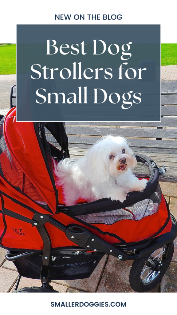 Best dog strollers for small dogs