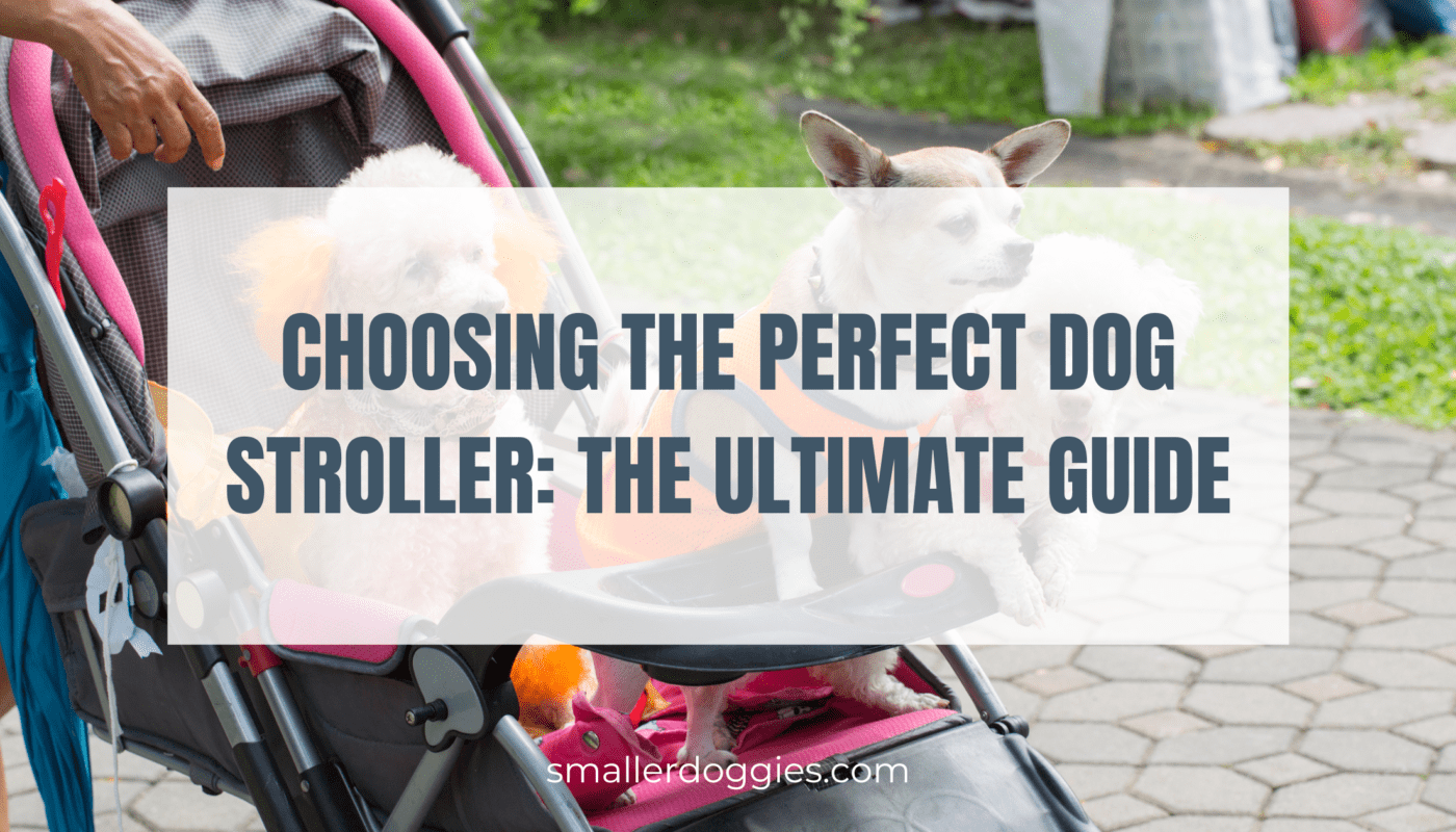 choosing the perfect dog stroller
