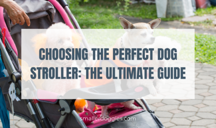 choosing the perfect dog stroller