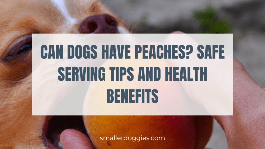 Can Dogs Have Peaches Safe Serving Tips and Health Benefits