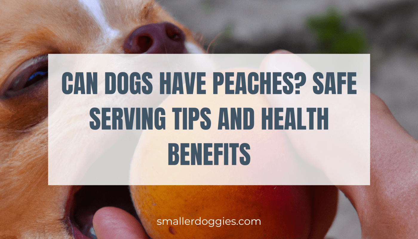 Can Dogs Have Peaches Safe Serving Tips and Health Benefits