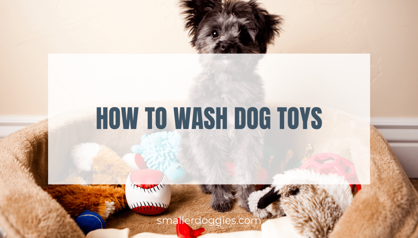 how to wash dog toys