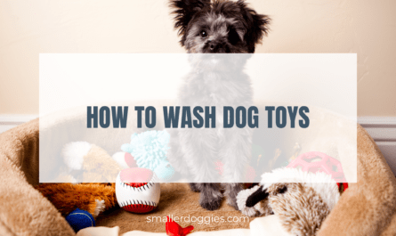 how to wash dog toys